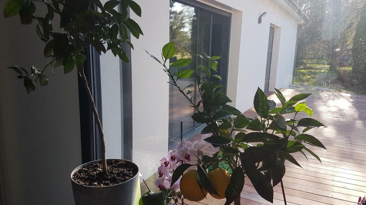 Villa Gena Saint-Médard-dʼEyrans エクステリア 写真